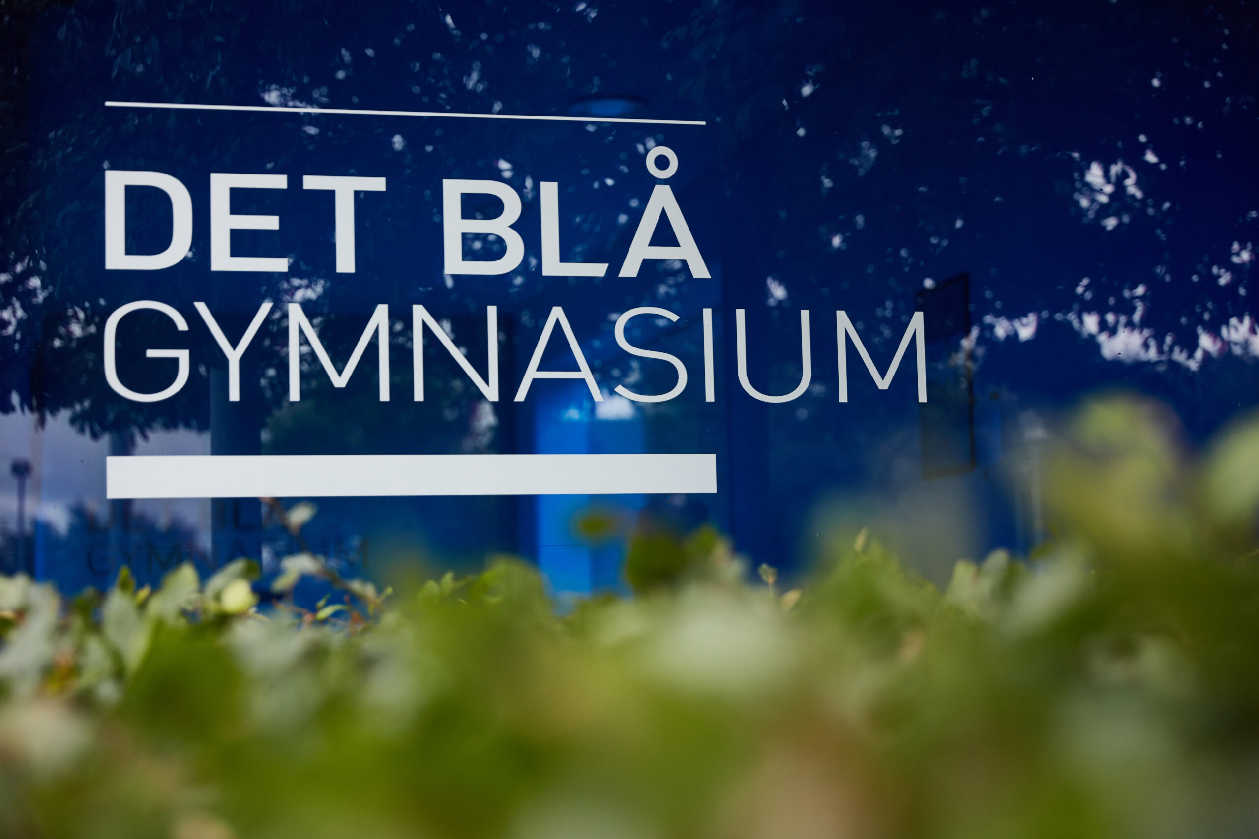 Logo Det Blå Gymnasium - billede af udsnit af indgangsparti
